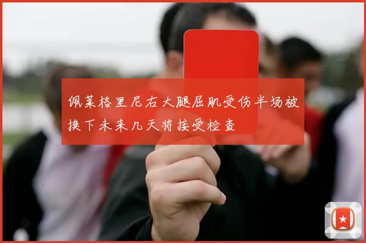 佩莱格里尼右大腿屈肌受伤半场被换下未来几天将接受检查